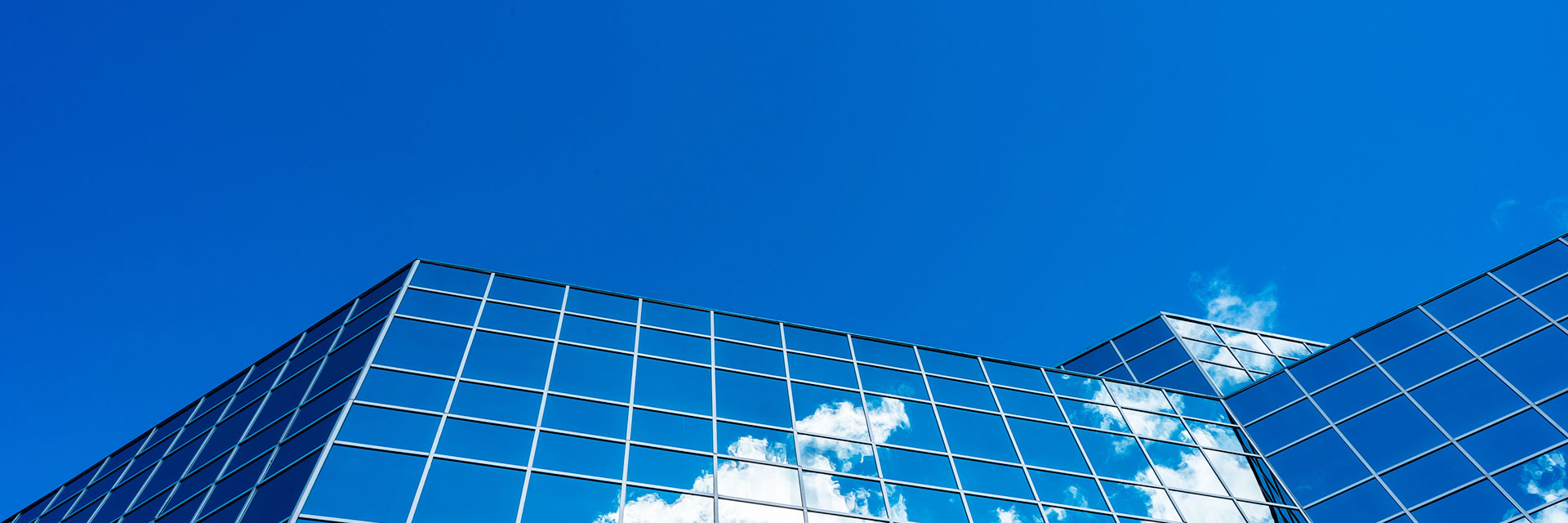 榮譽(yù)資質(zhì)